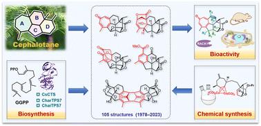 Cephalotane diterpenoids: structural diversity, biological activity, biosynthetic proposal, and chemical synthesis†