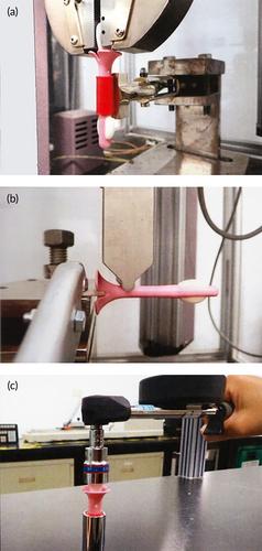 Evaluation of a novel vaginal cells self-sampling device for human papillomavirus testing in cervical cancer screening: A clinical trial assessing reliability and acceptability