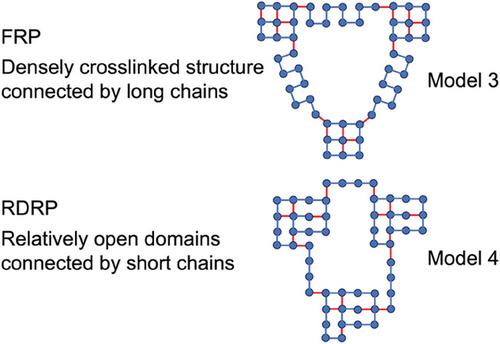 Effect of Highly Crosslinked Domains on the Dimensions of Network Polymers