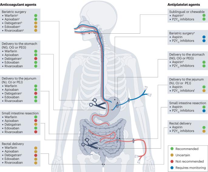 Optimizing antithrombotic therapy in patients with coexisting cardiovascular and gastrointestinal disease