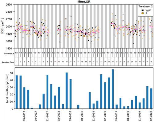 Temporal variability is a major source of uncertainty in soil carbon measurements