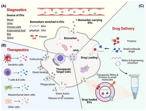 The application of extracellular vesicles in orthopedic diseases