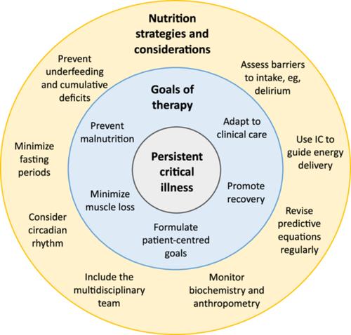 Nutrition considerations for patients with persistent critical illness: A narrative review