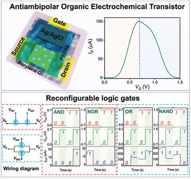 Stable n-Type Perylene Derivative Ladder Polymer with Antiambipolarity for Electrically Reconfigurable Organic Logic Gates