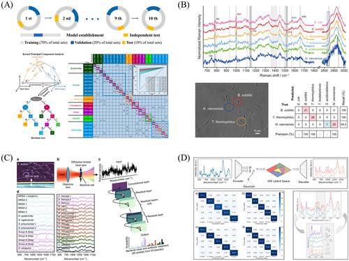 Label-free surface-enhanced Raman spectroscopy coupled with machine learning algorithms in pathogenic microbial identification: Current trends, challenges, and perspectives