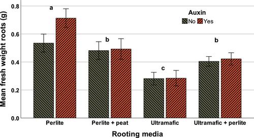 Cutting propagation of Bornmuellera tymphaea, a nickel hyperaccumulator for use in agromining: Effects of rooting media and auxins on stem cuttings