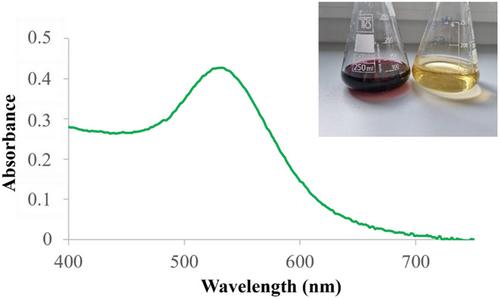 Accumulation and toxicity of biologically produced gold nanoparticles in different types of specialized mammalian cells