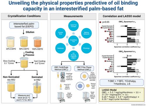 Unveiling the physical properties predictive of oil binding capacity in an interesterified palm-based fat