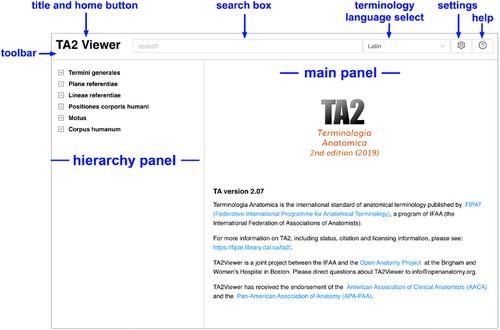 TA2Viewer: A web-based browser for Terminologia Anatomica and online anatomical knowledge