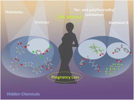 The silent threat and countermeasures: Navigating the mixture risk of endocrine-disrupting chemicals on pregnancy loss in China