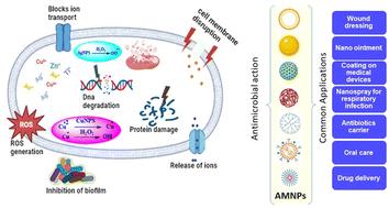 Antimicrobial nanoparticles: current landscape and future challenges