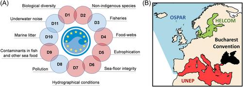 Importance of integrating mixoplankton into marine ecosystem policy and management—Examples from the Marine Strategy Framework Directive