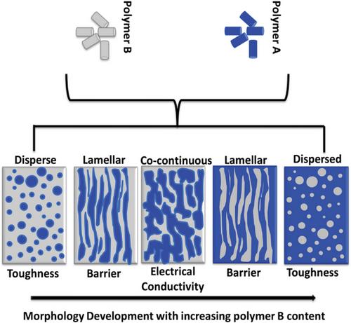 Morphological Characteristics, Properties, and Applications of Polylactide/Poly(ε-caprolactone) Blends and Their Composites—A Review