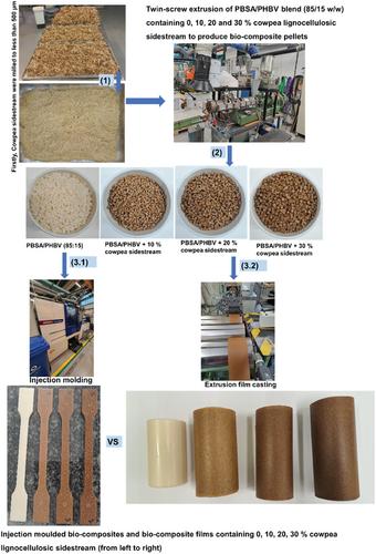 Development and Characterization of Poly(butylene succinate-co-adipate)/Poly(3-hydroxybutyrate-co-3-hydroxyvalerate) with Cowpea Lignocellulosic Fibers as a Filler via Injection Molding and Extrusion Film-Casting