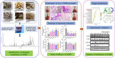 Chemical profiling and mechanisms of Agarikon pill in a rat model of cigarette smoke-induced chronic obstructive pulmonary disease