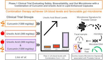 Phase 1 clinical trial evaluating safety, bioavailability, and gut microbiome with a combination of curcumin and ursolic acid in lipid enhanced capsules