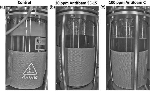 Measurement and control of foam generation in a mammalian cell culture