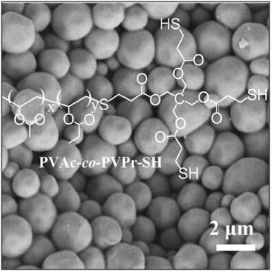 Dispersion Polymerization of N-Vinyl-2-Pyrrolidone in Supercritical Carbon Dioxide in the Presence of Thiol-Terminated Poly(vinyl acetate-co-vinyl propionate)