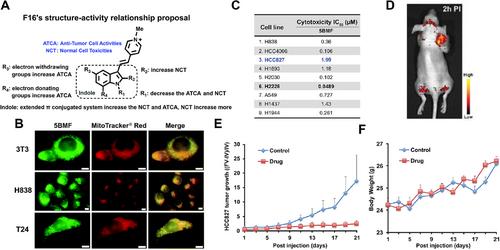 Recent advances in mitochondria-targeting theranostic agents