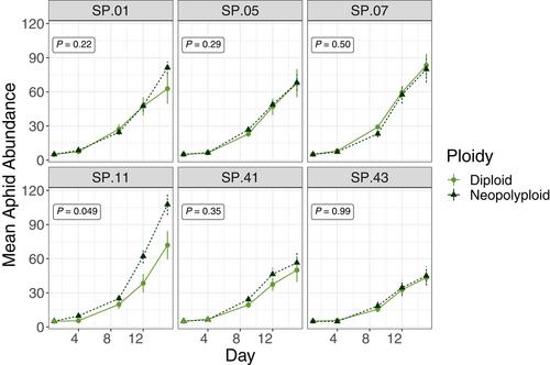 Neopolyploidy-induced changes in giant duckweed (Spirodela polyrhiza) alter herbivore preference and performance and plant population performance