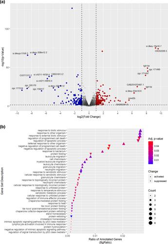 Behavioral and transcriptomic analyses of mecp2 function in zebrafish