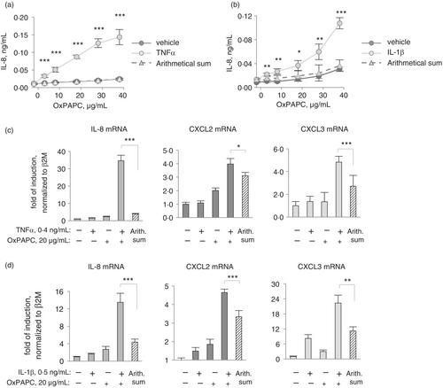 Cooperative induction of CXCL chemokines by inflammatory cytokines and oxidized phospholipids