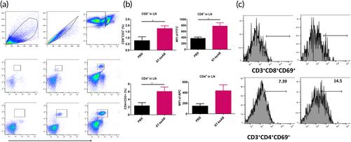 Siglec15/TGF-β bispecific antibody mediates synergistic anti-tumor response against 4T1 triple negative breast cancer in mice