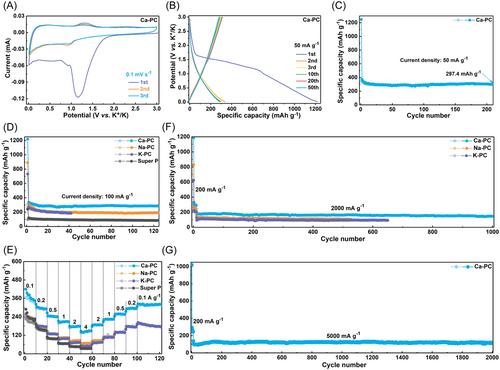 Pore structure and oxygen content design of amorphous carbon toward a durable anode for potassium/sodium-ion batteries