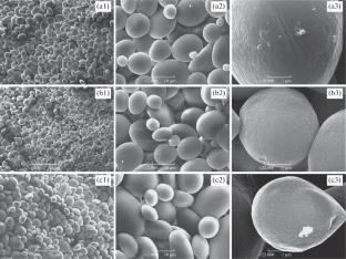 The Effect of an Electrochemically Activated Water Solution on Plant Polysaccharides: Phenomenology and Spectrometry