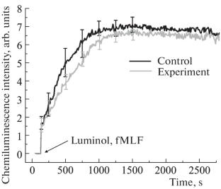 A Decrease in the Background Production of Reactive Oxygen Species by Neutrophils after the Action of Hypomagnetic Field Is Not Accompanied by a Violation of Their Chemiluminescent Response to Respiratory Burst Activators