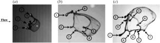 Research Advances in Close-Coupled Atomizer Flow and Atomizing Mechanisms