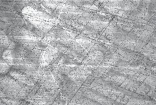 Abstract Image