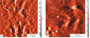 Effect of Morphogenesis of the Surface of Peptide Nanocomposites on their Structure and Properties