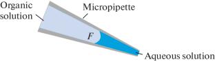 Latest Advances in Scanning Ion-Conductance Microscopy and Nanopipette Systems for Single-Cell Analysis under Serial Conditions