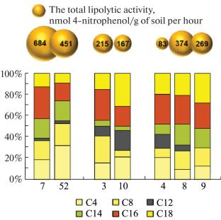 Lipase and Esterase Activity in Soils from Ancient Burial Vessels