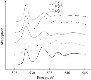 Electronic Structure and X-Ray Absorption Near Edge Spectroscopy of Copper Oxides