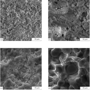 Fabrication of Ceramic Composites by Microwave Sintering