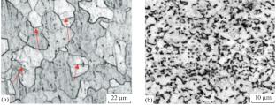 Electroplastic Effect in Titanium Alloys Under Tension