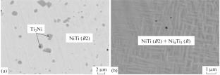 Pressure-Assisted Electrothermal Explosion Synthesis of Titanium Nickelide