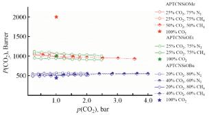 Separation of Gas Mixtures Containing Carbon Dioxide Using Membranes Based on Polytricyclononenes with Trialkoxysilyl Groups