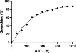 Structure of a novel form of phosphopantetheine adenylyltransferase from Klebsiella pneumoniae at 2.59 Å resolution