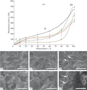 In Situ Study of the Influence of Degradation of Different Types of Polymer Matriсes on Their Mechanical Properties inside Sem