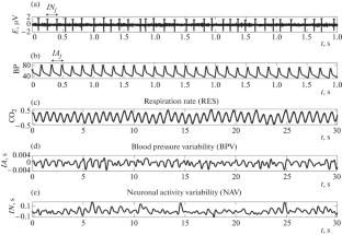 Analysis of the Relationship between Activity of the Reticular Formation of the Medulla Oblongata and the Respiratory and Cardiovascular Systems in Rats under Painful Stimulation