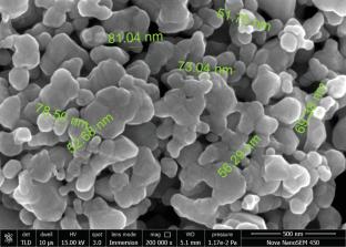 Elimination of Ciprofloxacin from Aqueous Solution by Ultrasonic-Assisted Adsorption Using Chitosan Crosslinked Graphene Oxide Nanoparticles