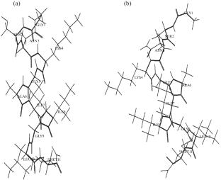 Conformational Features of Beta-Amyloid Peptide 25–35