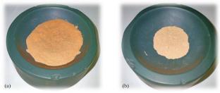 Fractional Precipitation of Rare-Earth Metals and Manganese from Hydrochloric Acid Solutions by Ammonium Carbonate