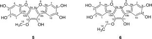 Photoreaction products of extract from the fruiting bodies of Polyozellus multiplex