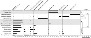 Southern South American hydroclimatic units, their recent continental ostracod association characterisation: useful for palaeohydrological studies