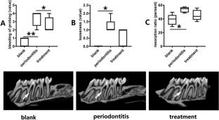 Galla Turcica alleviates gingiva inflammation and alveolar bone resorption via regulating Th1/Th17 in a mouse model of periodontitis