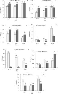 Physiological characteristics of pistil abortion in Prunus sibirica